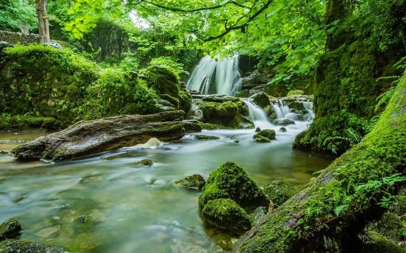 高精度绿色